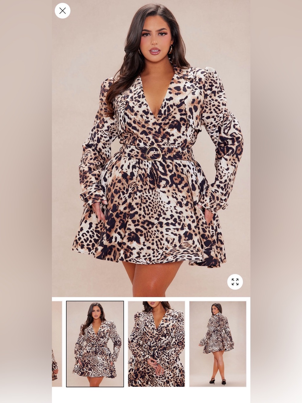 Leopard Mini Dress